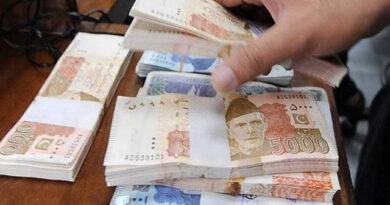 سرکاری ملازمین کی تنخواہوں میں 2 فیز میں اضافے کا امکان