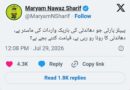 پیپلز پارٹی کے الزامات پر مریم نواز کا طنزیہ جواب: قیامت کا وقت پوچھ لیا