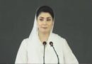 مریم نواز : پنجاب میں فارماسیوٹیکل انڈسٹری تیزی سے آگے بڑھ رہی ہے-