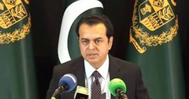 مولانا فضل الرحمان جان بوجھ کر ہم سے ٹکرا رہے ہیں: طلال چوہدری